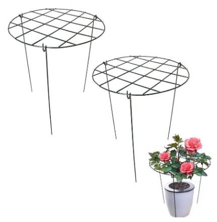 Round Peony Cage- 2 Pack
