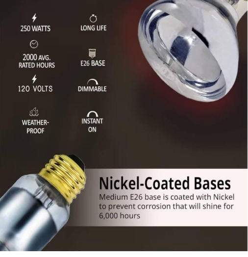 Incandescent Heat Lamps