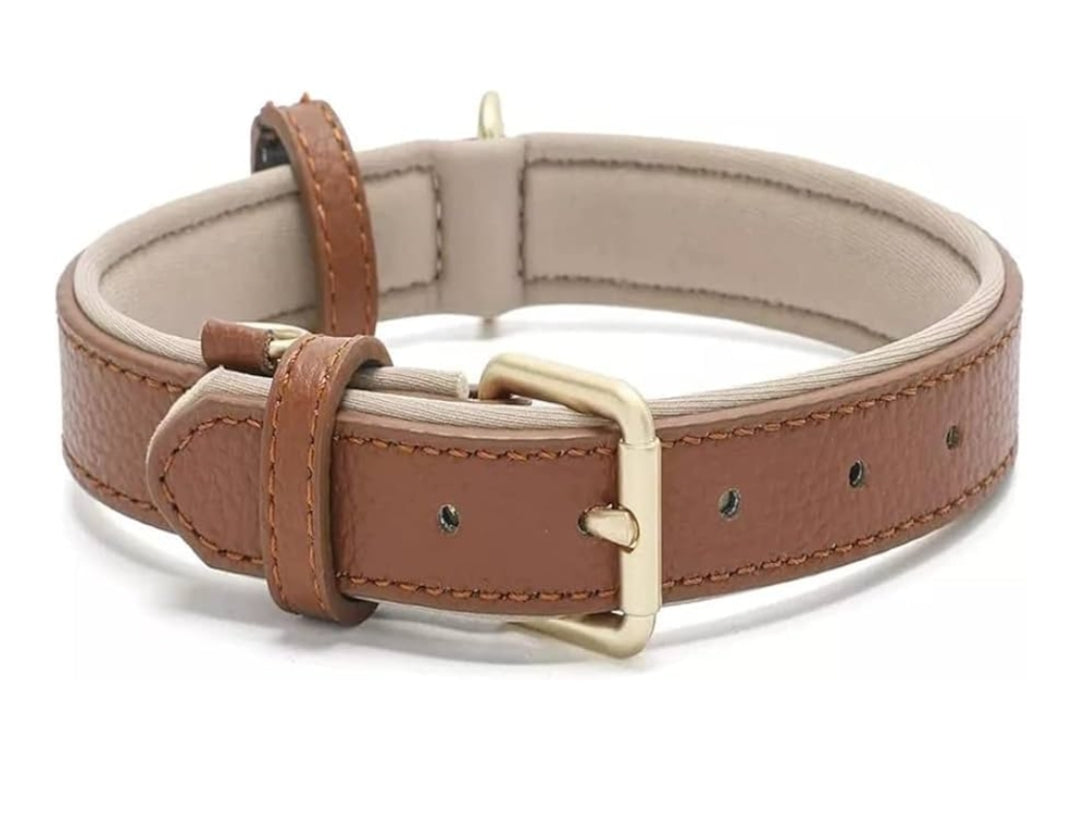 Leather Dog Collar for Small Dogs
