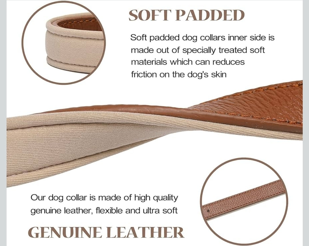 Leather Dog Collar for Small Dogs