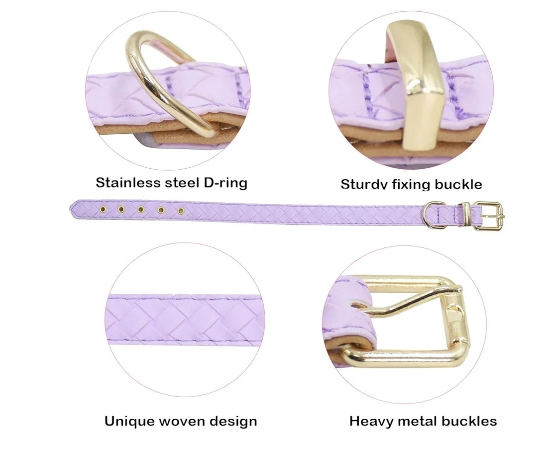 Leather Dog Collar- Purple