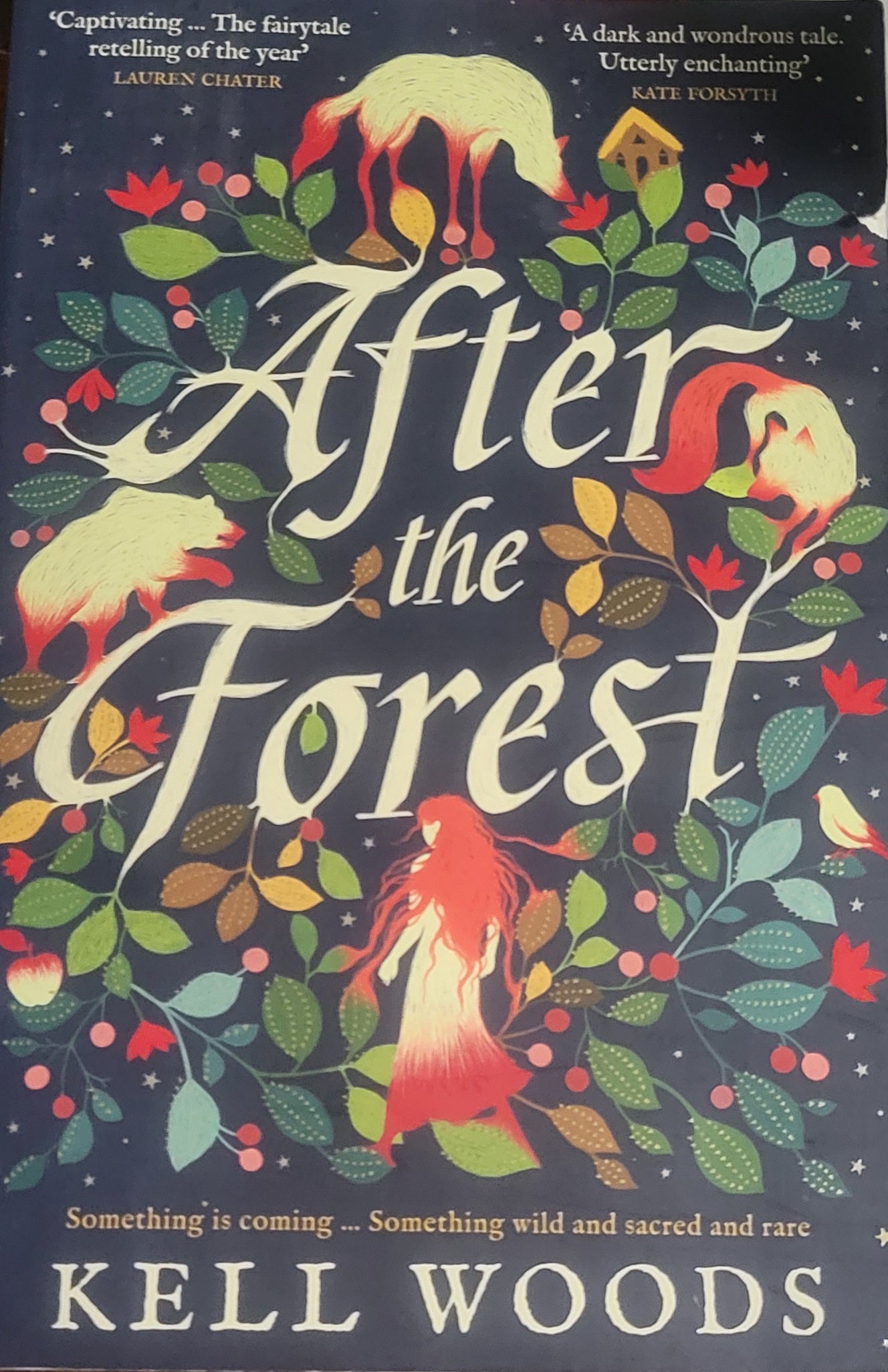 After the Forest Paperback Book