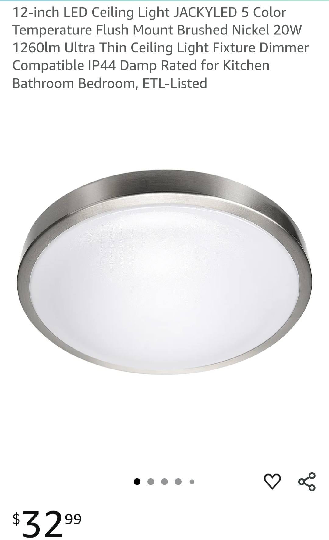 LED Ceiling Light Fixture with Metal Frame
