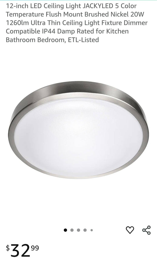 LED Ceiling Light Fixture with Metal Frame