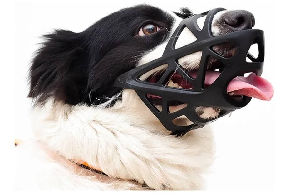 Dog Muzzle
