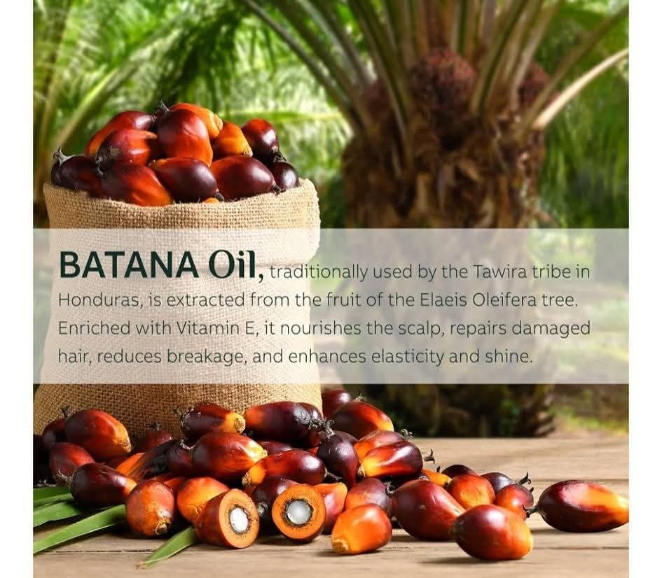 100% Raw Batana Hair Oil