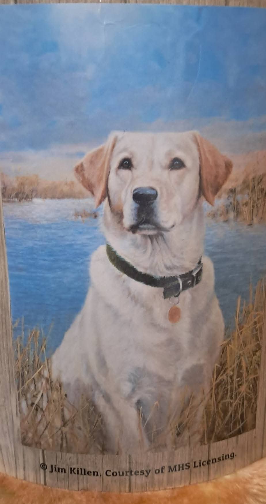 Rachelle Throw Blanket- Dog Print