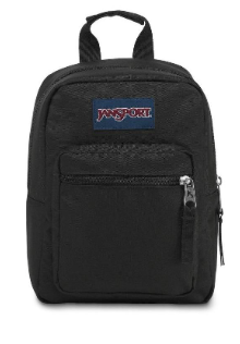 JanSport Mini Back Pack Lunch Bag