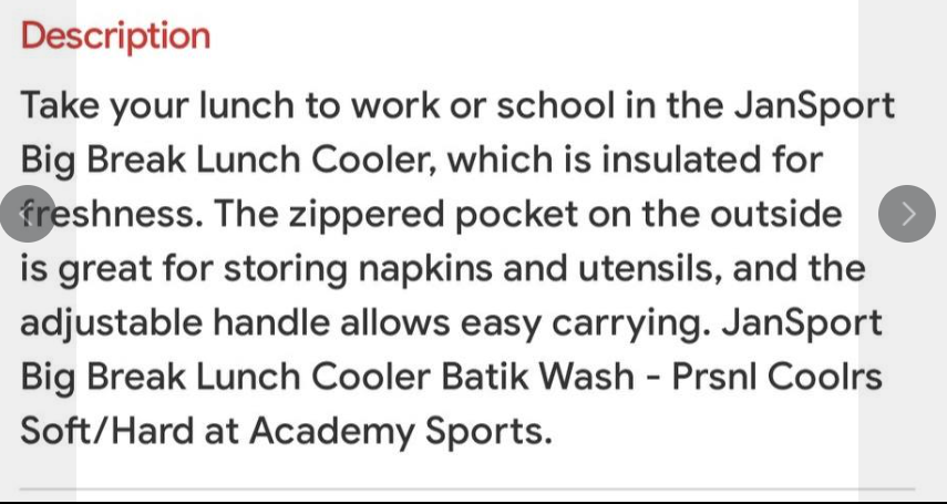 JanSport Mini Back Pack Lunch Bag