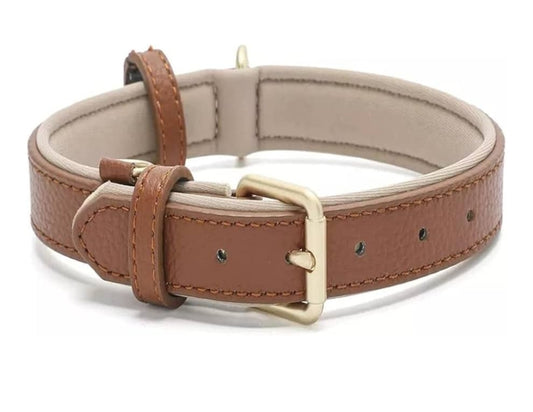 Leather Dog Collar for Small Dogs