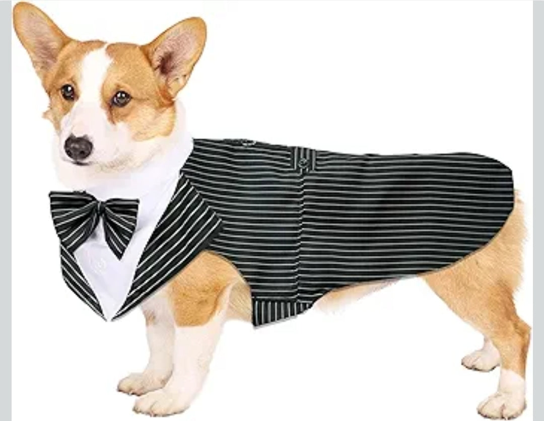 Dog Tuxedo Suit- Size Small